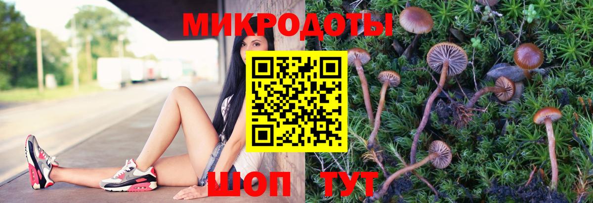 Галлюциногенные грибы Psilocybine cubensis Кинель