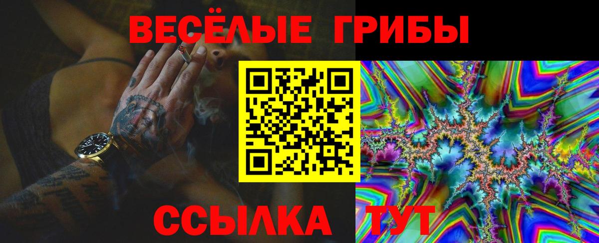 Псилоцибиновые грибы мицелий  Галлюциногенные грибы ЛСД  как найти наркотики  Кинель  Вход с VPN 